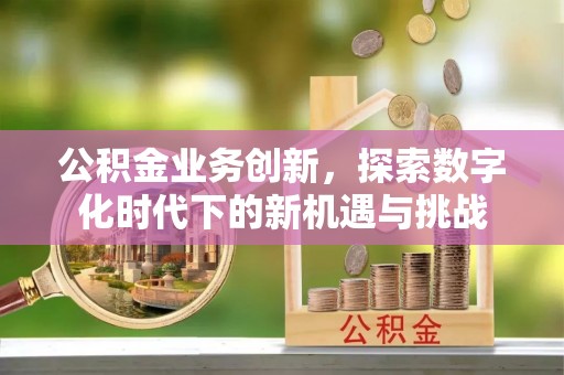 称多公积金业务创新，探索数字化时代下的新机遇与挑战